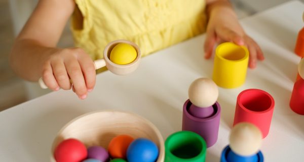 The child learns colors. A sorter toy for studying flowers by preschool children